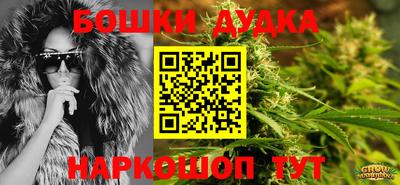 mdpv Заводоуковск