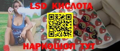 mdpv Заводоуковск